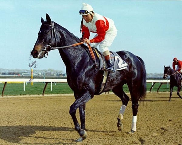 Recordando a una campeona: RUFFIAN