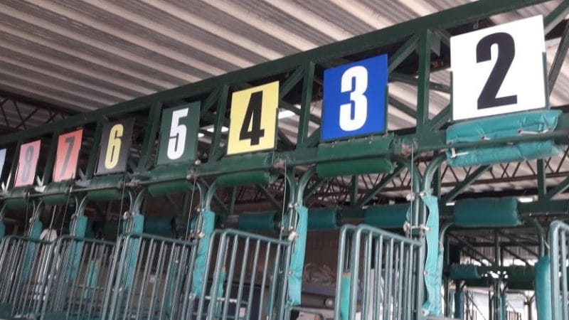 El Hipódromo de Palermo implementa la nomenclatura hípica de colores internacional