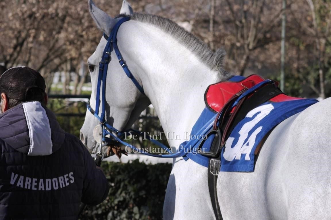 Comunicado de la Unión de Trabajadores del Turf y Afines (U.T.T.A.)