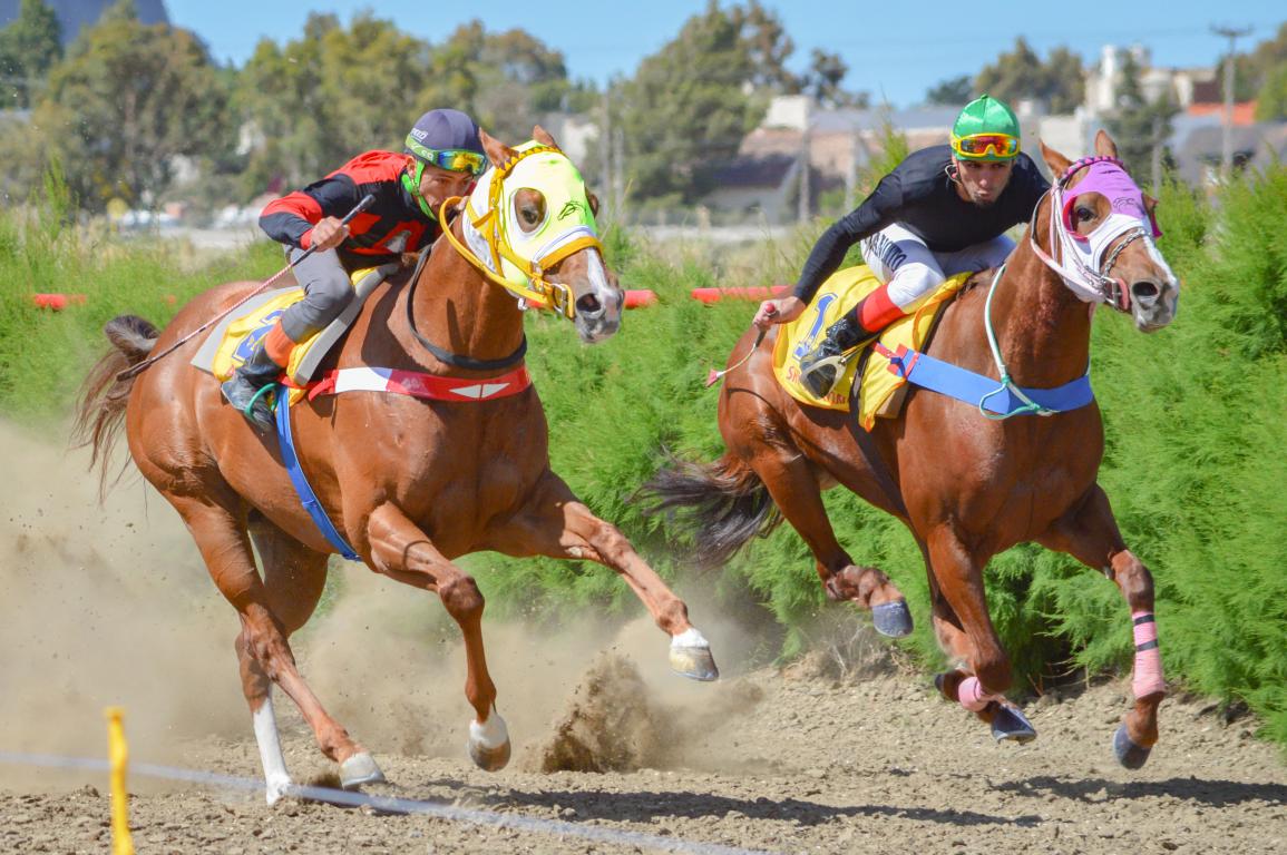 UTTA, un clásico de Entre Ríos a Chubut
