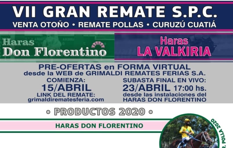 Llega a la Cabaña Grimaldi el VII Gran Remate de S.P.C – venta otoño – Remate Pollas – Curuzú Cuatiá