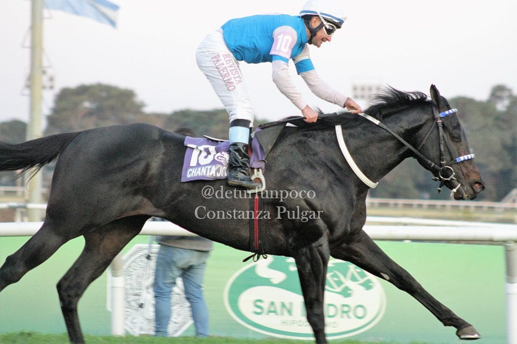 CHANTA JOY se impuso en el Premio Clásico 9 de Julio