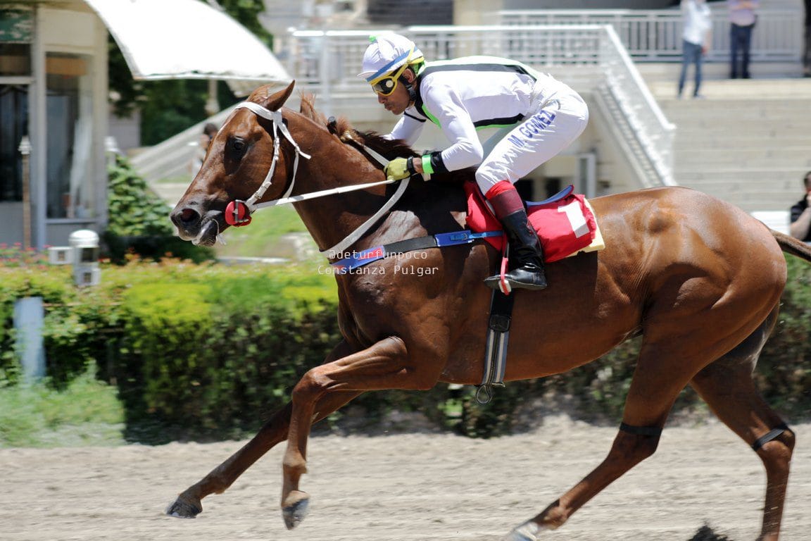 El Hipódromo de Palermo brilló con la fiesta provincial