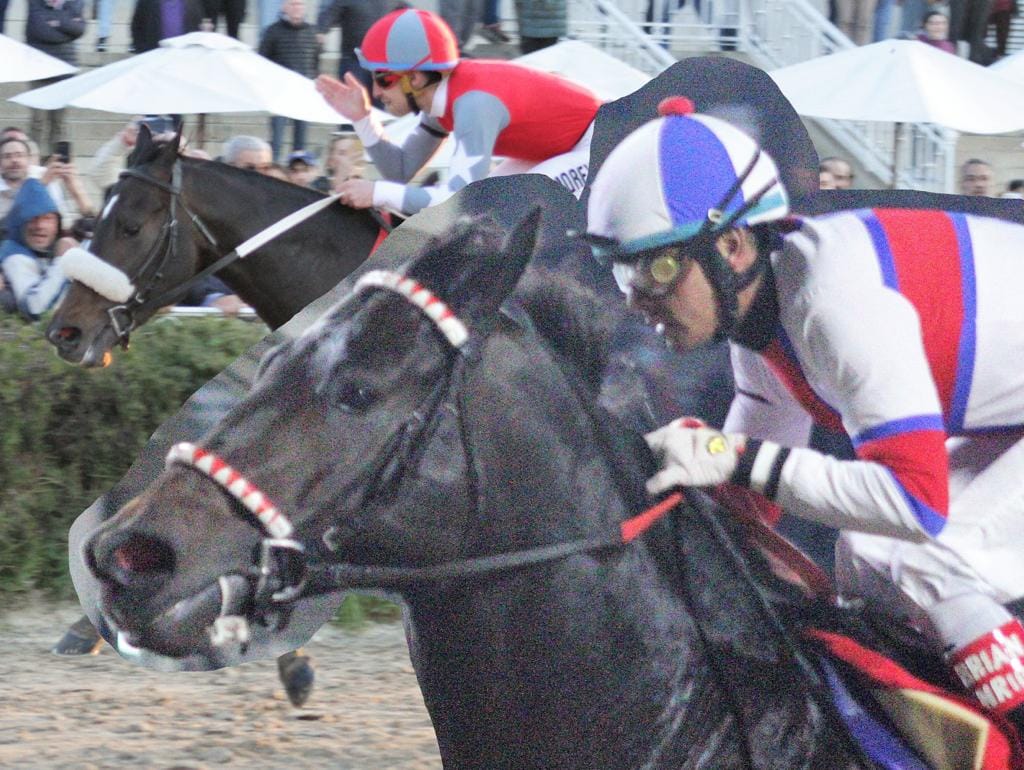 Domingo de Campeones en el Hipódromo de Palermo