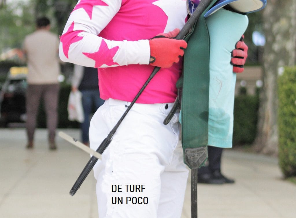 El Hipódromo de Palermo presenta un nuevo reglamento sobre el «Uso de la Fusta»