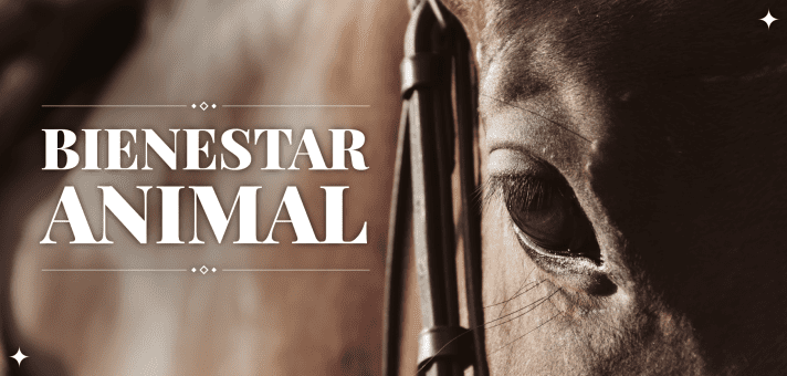 Se solicitará un test de AIE a SPC provenientes de La Plata