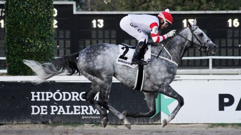 La 4° edición de «Un día en las Carreras» se vivió a pura emoción en el Hipódromo de Palermo