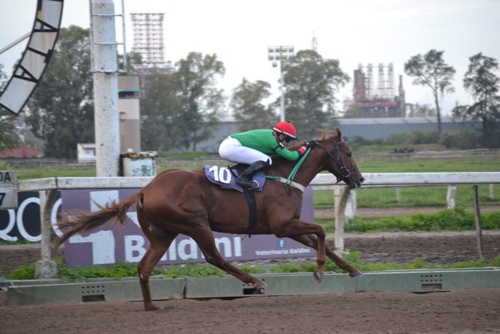 Go Chrome Go, se impuso en el Clásico 25 de Mayo de 1810 en los Eucaliptus