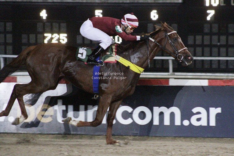 LA VALIDADA, en el Hándicap Cote Dor