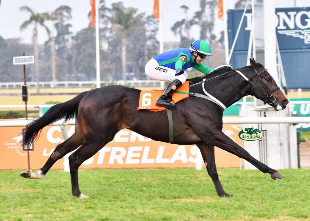 SER SINCERO se quedó con el Clásico Estrellas Junior Sprint, G3