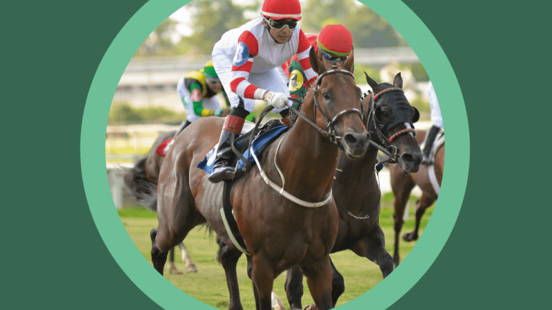 Puntaje parcial del Campeonato Palermo de Oro Verde 2023