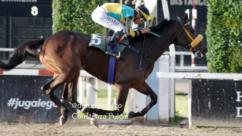 SUBSANADOR, ROMANCE SEA y OASIS BOY brillaron en la arena de Palermo en «Un día en las carreras»