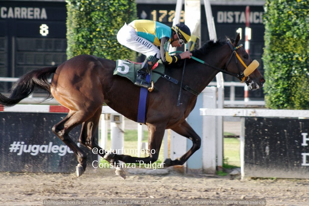 SUBSANADOR, ROMANCE SEA y OASIS BOY brillaron en la arena de Palermo en «Un día en las carreras»