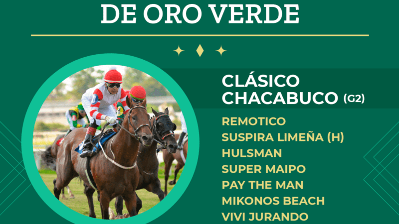 Este Sábado 8 de julio empieza el Campeonato Palermo Oro Verde