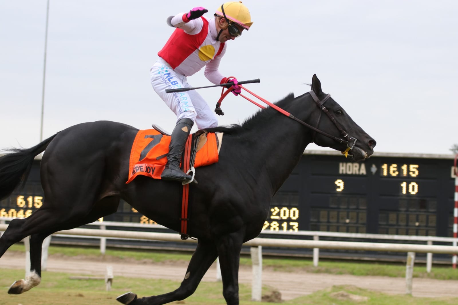 Conoceremos a los participantes del Gran Premio Latinoamericano – PEPE JOY