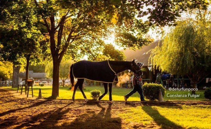 Asociación de Propietarios de Caballos de Carreras en busca de un mayor bienestar para el Turf