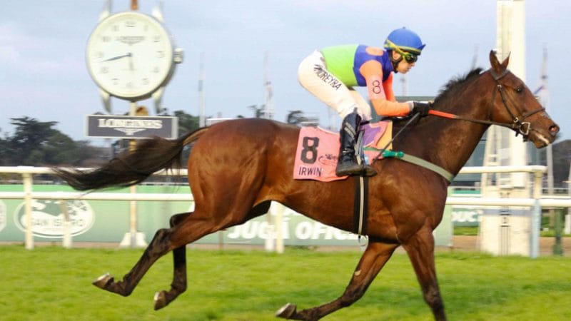 Conoceremos a los participantes del Gran Premio Latinoamericano – IRWIN