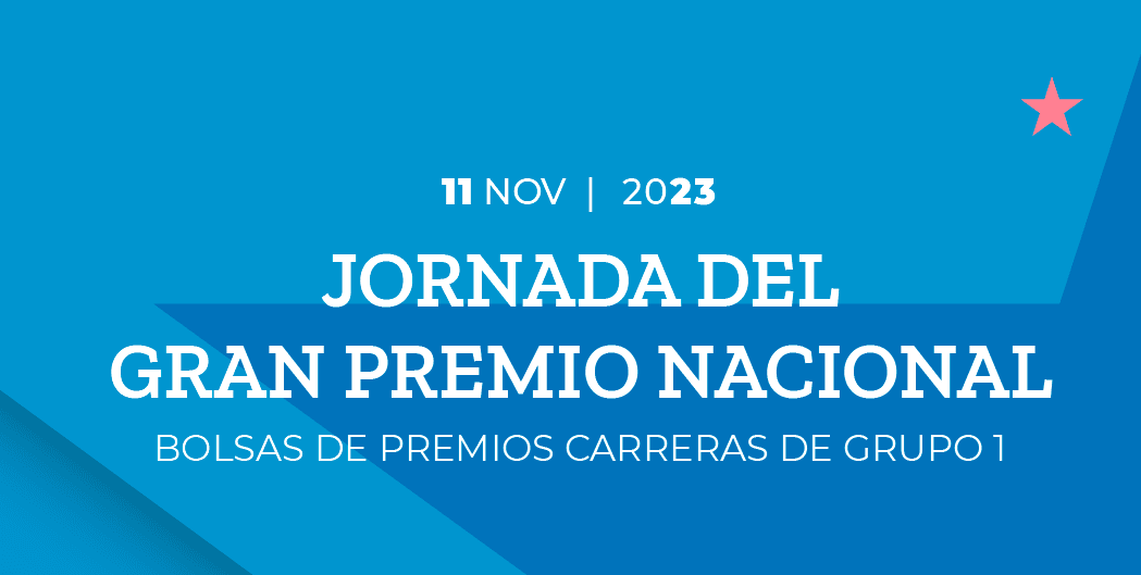 Bolsas de premios: NACIONAL, PALERMO y MAIPÚ