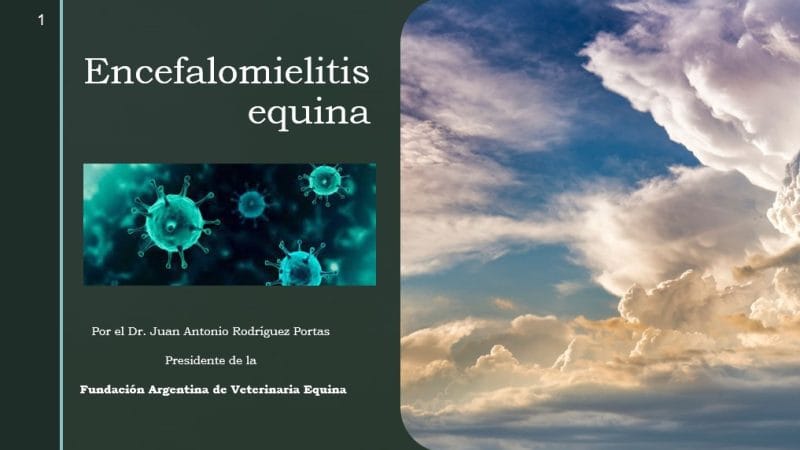 Encefalomielitis Equina – Capacitación