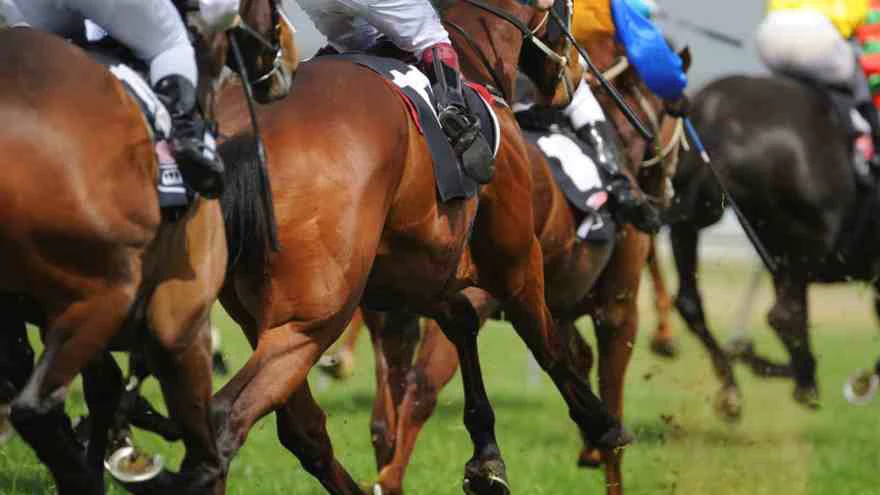 Gremio apunta contra el administrador del hipódromo de La Plata: protesta puede afectar las agencias de apuestas