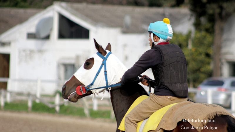 Centro de Formación de Oficios del Turf –  Curso de Jockey Aprendiz