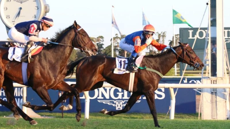 El Primer Gran Premio del Año llega con calidad y millones