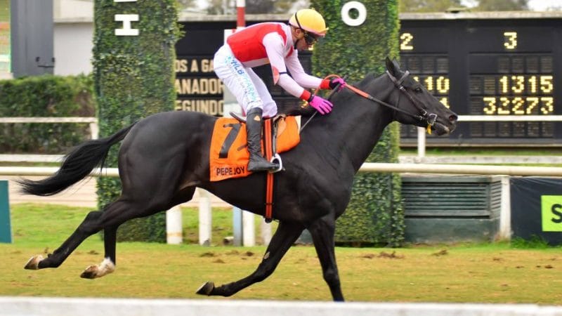 Pepe Joy nominado por el Jockey Club para el GP Latinoamericano 2024