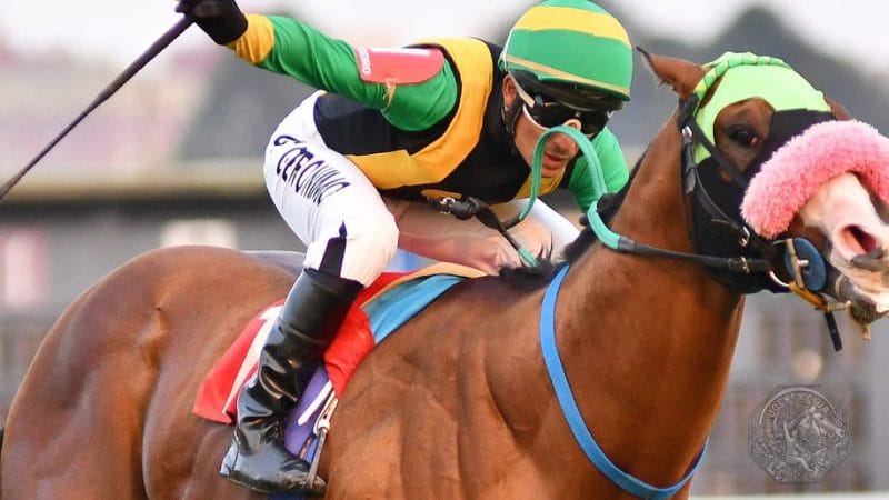 De jerarquía en jerarquía con millones en pozos