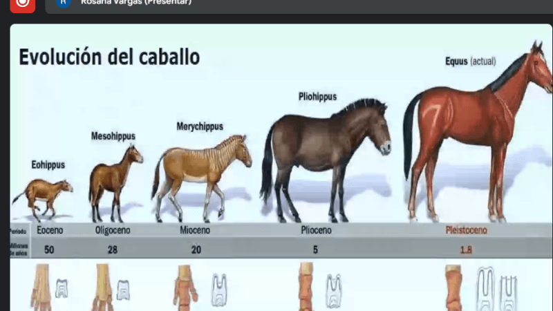 Comenzó el ciclo formativo 2024 de la UTTA
