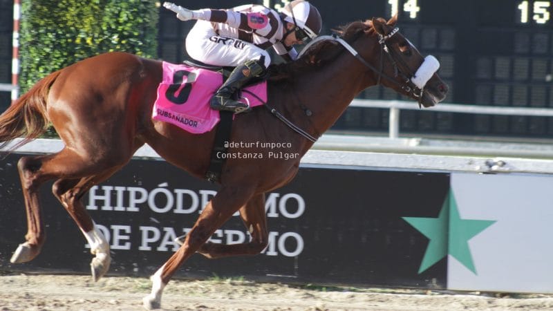 Subsanador, 2° en el Santa Anita Handicap