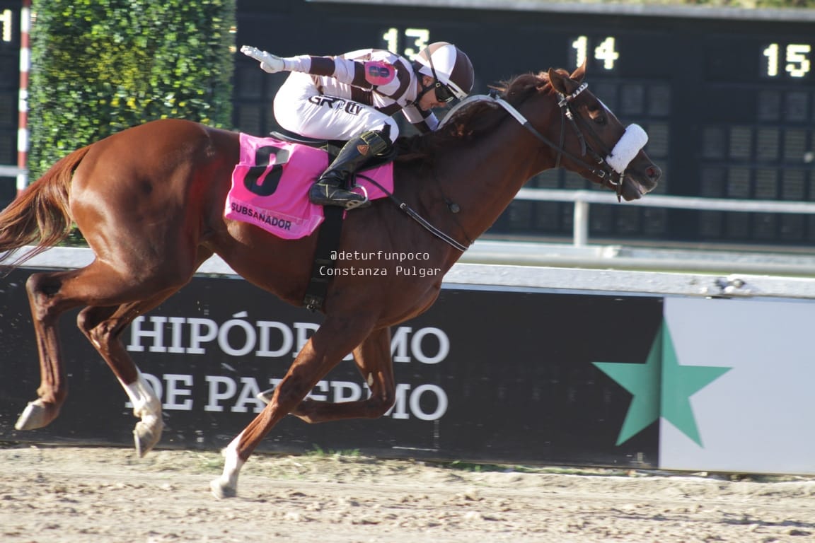 Subsanador, 2° en el Santa Anita Handicap