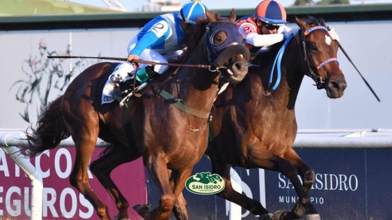 45ta. Edición de las Distinciones Carlos Pellegrini