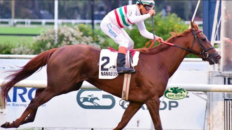 Nanabush crece carrera tras carrera
