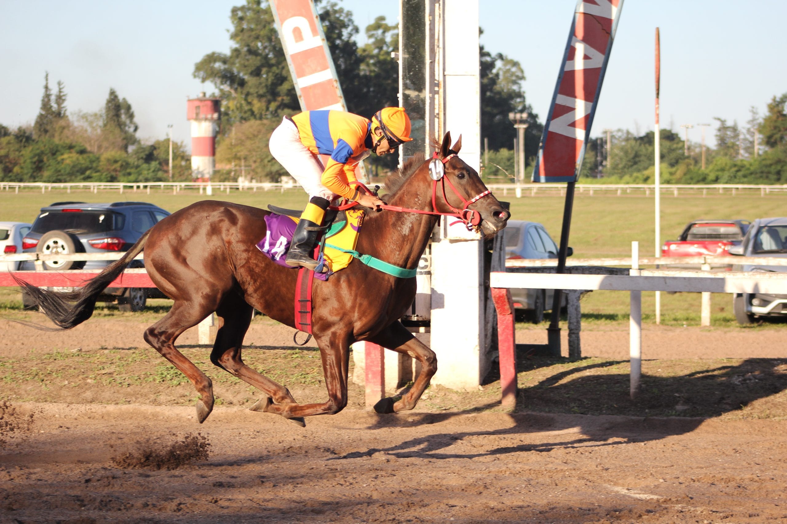 La Copa UTTA pasó por Río Cuarto, Tucumán y Dolores