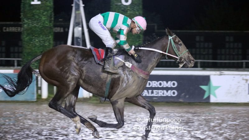 Catálogo de productos para el IX Gran Remate S.P.C. venta otoño – Remate Pollas – Curuzú Cuatiá