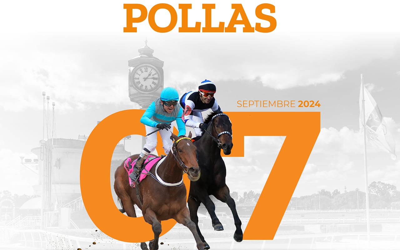 Una jornada de Pollas increíble, con más de $500 millones en juego y la ilusión de un triplecoronado