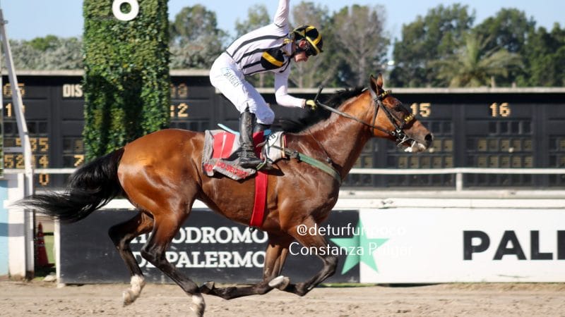 Llega la séptima edición de «Un día en las carreras» con más de 280.000.000 en juego