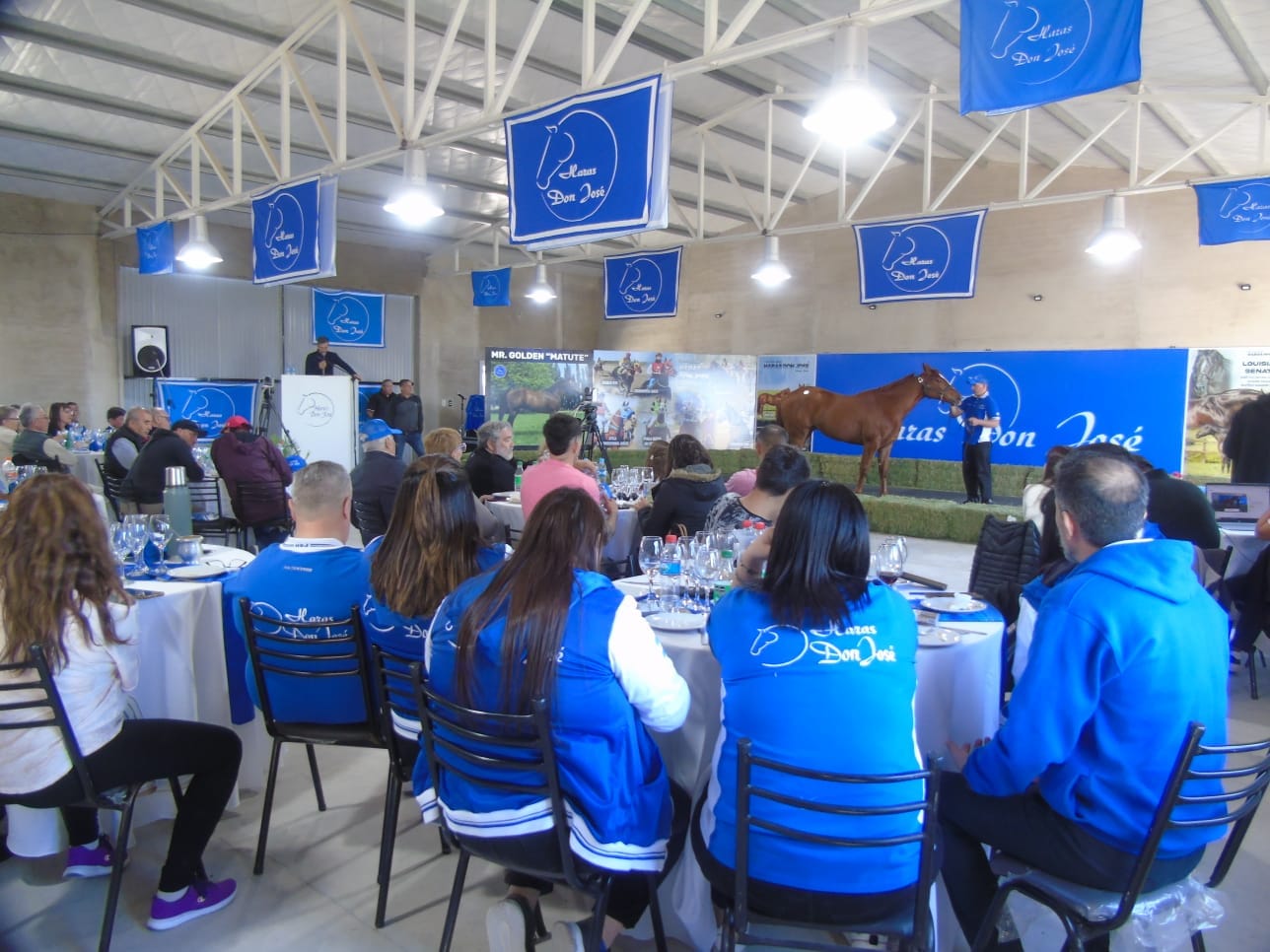 Gran Venta Anual del Haras Don José – Videos