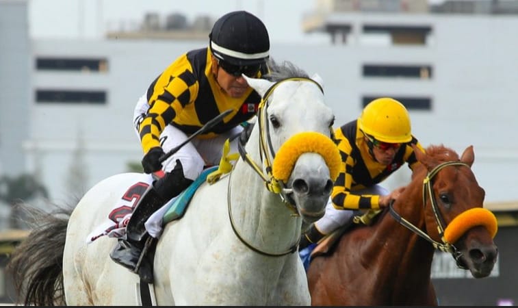 Se inscribieron ocho extranjeros para la #JI2024