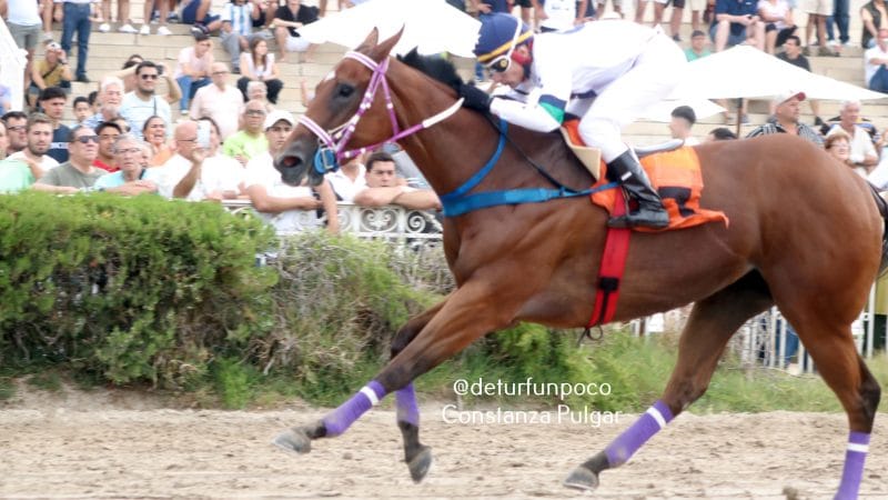LAKKA se impuso en el Súper Encuentro Provincial durante un día en las carreras en el Hipódromo de Palermo