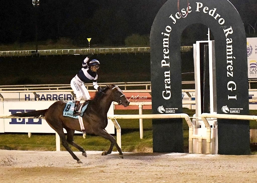 EL KODIGO: El caballo argentino que conquista Sudamérica