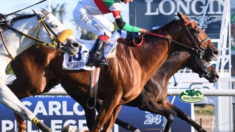 Un Pellegrini histórico para recordar por siempre