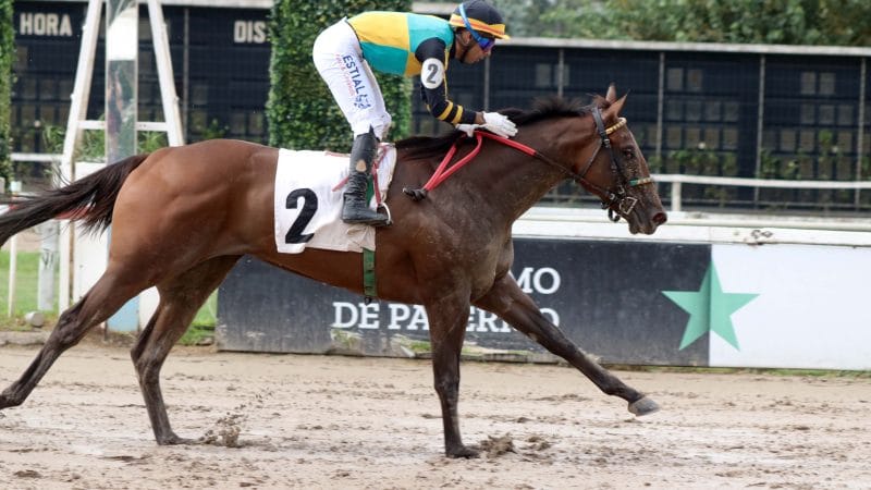 Se disfrutó de «Un día en las carreras» en el Hipódromo de Palermo