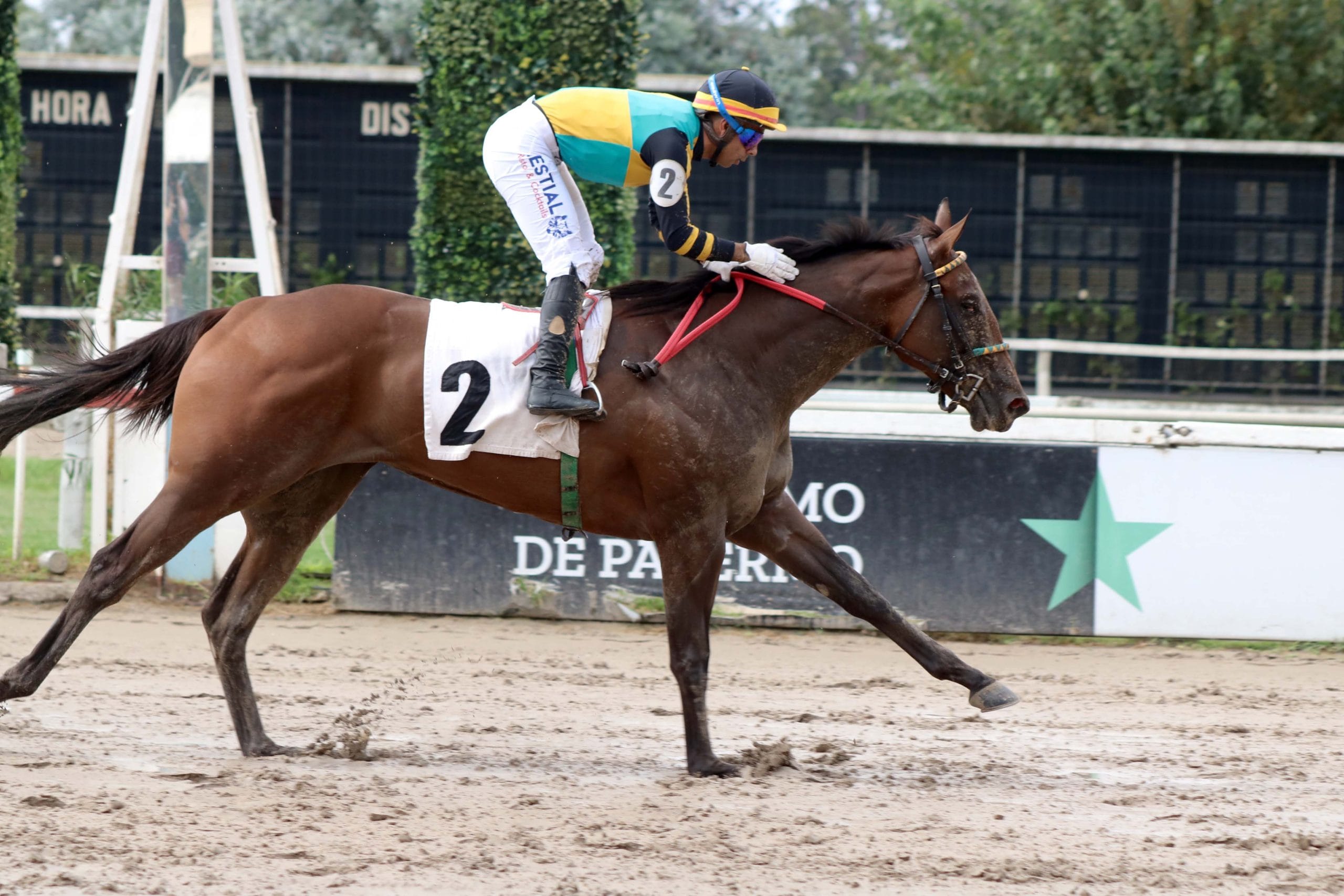 Se disfrutó de «Un día en las carreras» en el Hipódromo de Palermo