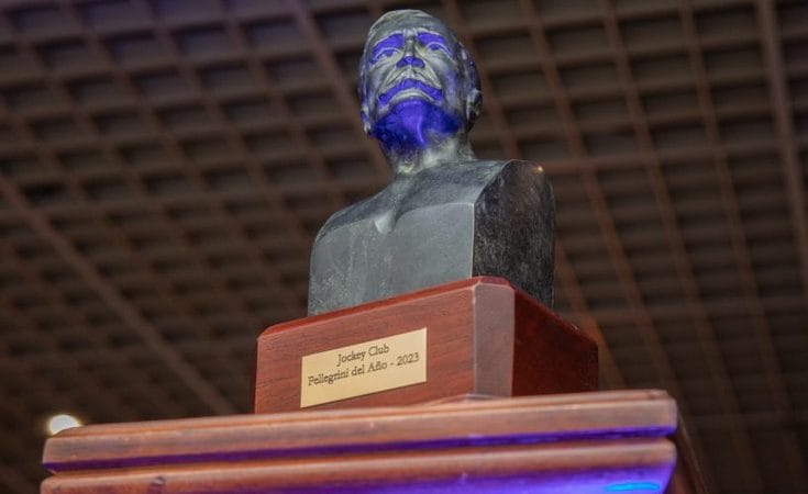 Distinciones Carlos Pellegrini 2025 (Temporada 2024)