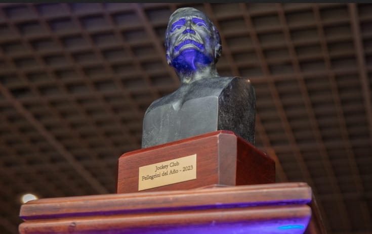 Distinciones Carlos Pellegrini 2025 (Temporada 2024)