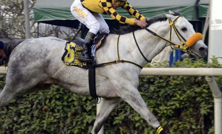 Trece inscriptos en el Gran Premio 25 de Mayo