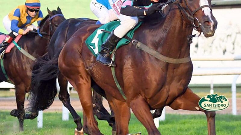 Trece potrillos ratificados en el GP Dos Mil Guineas