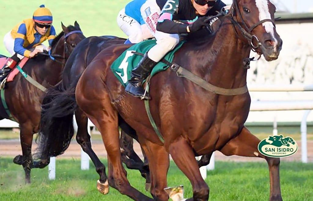 Trece potrillos ratificados en el GP Dos Mil Guineas