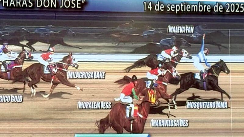 Mosquetero Iama se llevó la Polla de Potrillos Haras Don José 2025